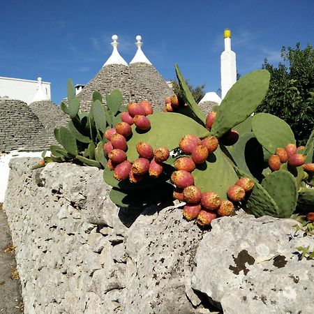 Bed & Breakfast La Collinetta Locorotondo Dış mekan fotoğraf