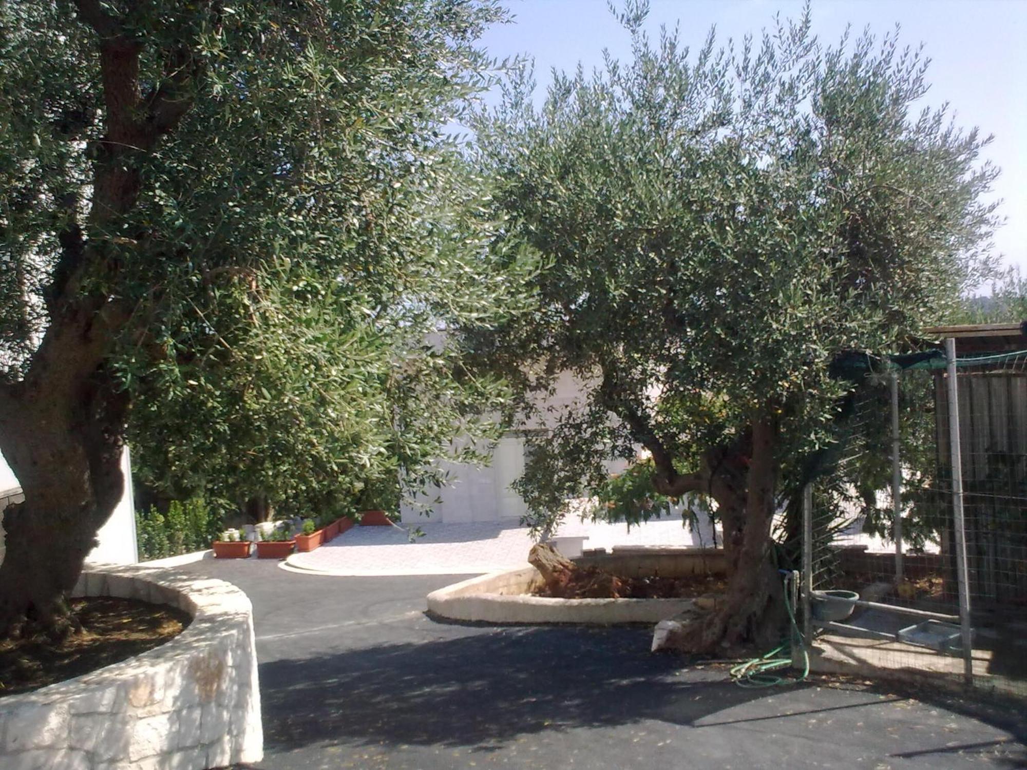 Bed & Breakfast La Collinetta Locorotondo Dış mekan fotoğraf